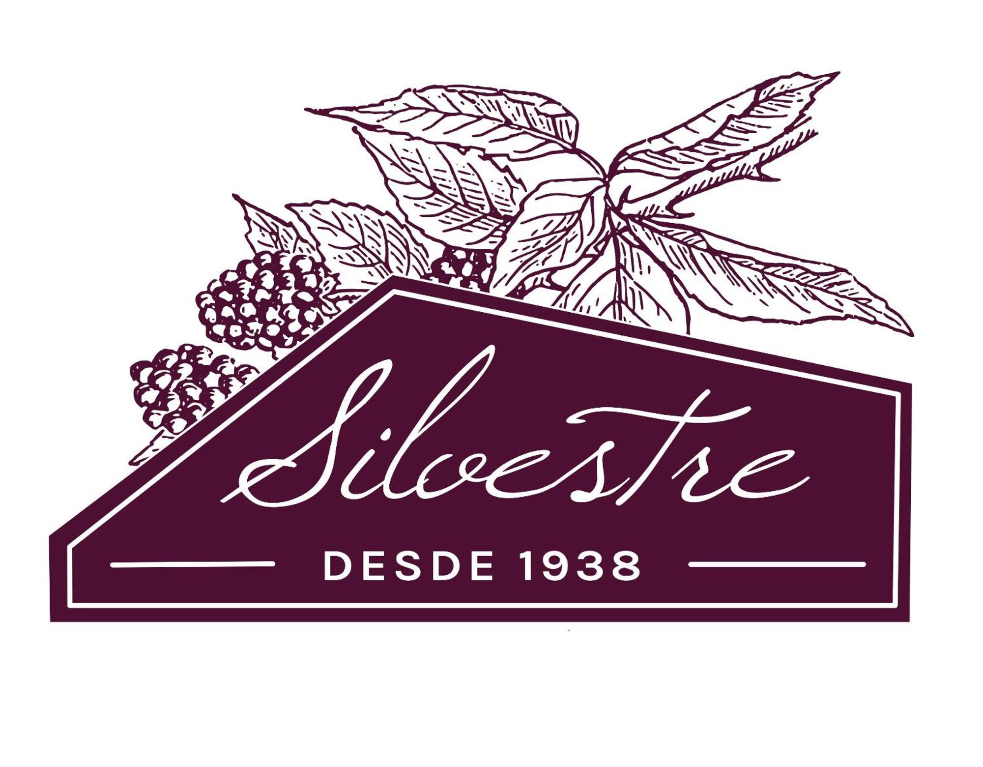 Alojamento Funchal - Silvestre House 外观 照片