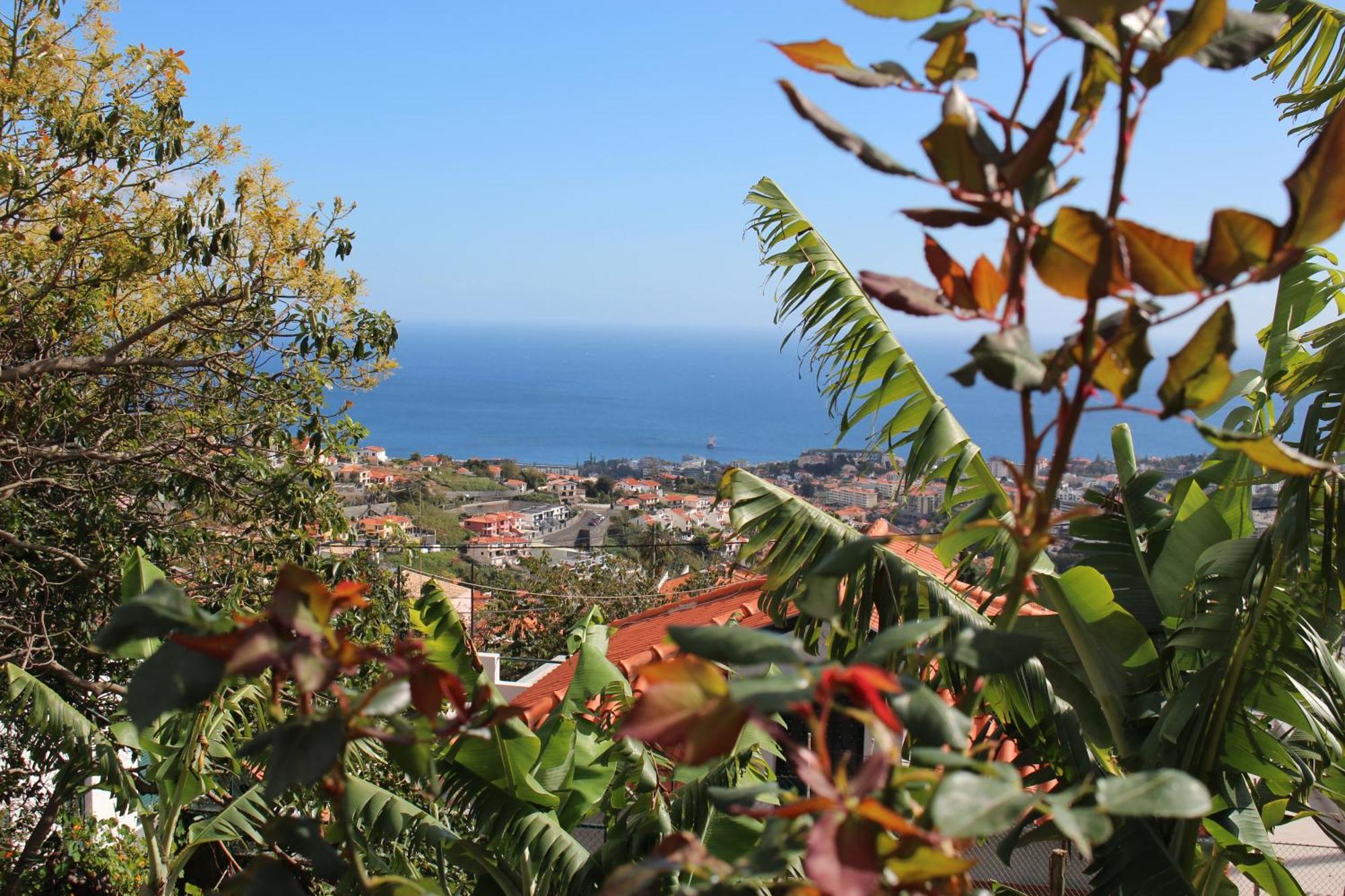 Alojamento Funchal - Silvestre House 外观 照片